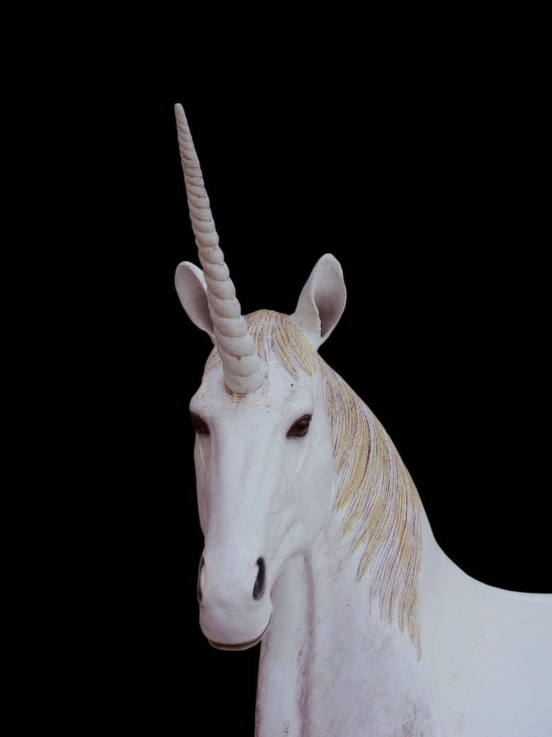 Unicorn Meadows B&B
